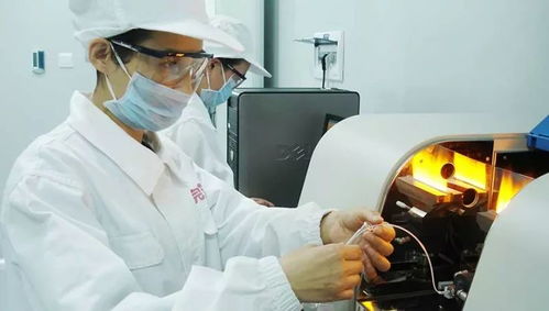 乳品中国造，完达山以实干铸就国货品质标杆